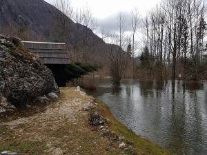 Ukanc (avtor fotografije Jure Sodja)